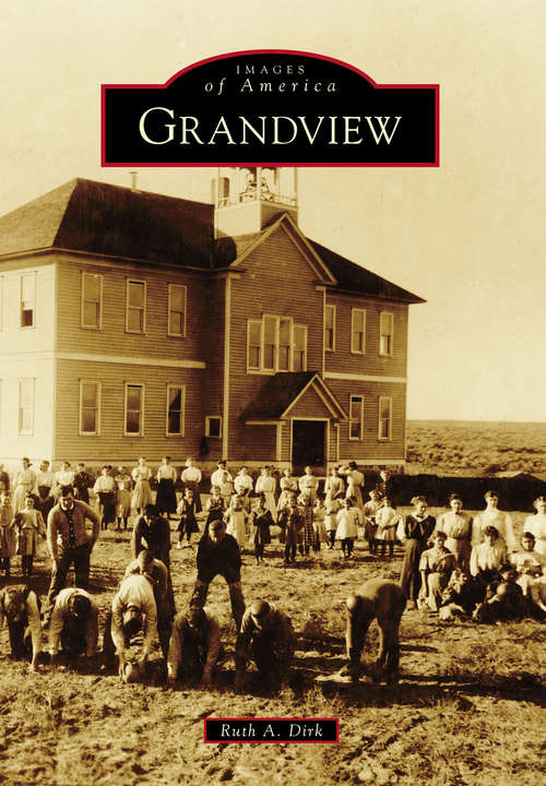 Book cover of Grandview