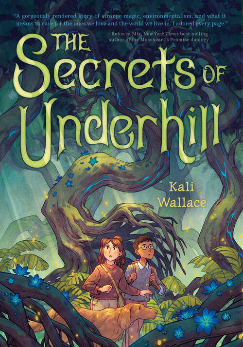 Book cover of The Secrets of Underhill