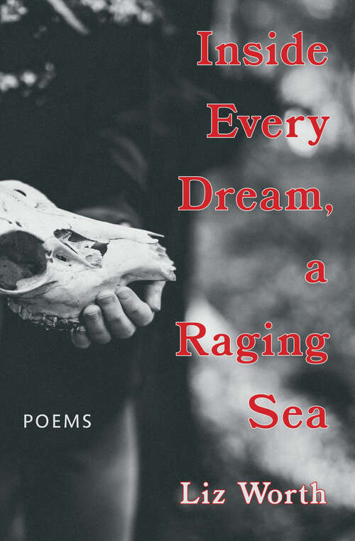 Book cover of Inside Every Dream, a Raging Sea