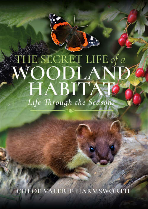 Book cover of The Secret Life of a Woodland Habitat: Life Through the Seasons