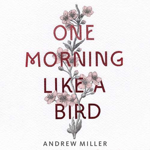 Book cover of One Morning Like a Bird