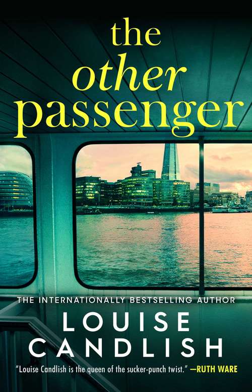 Book cover of The Other Passenger