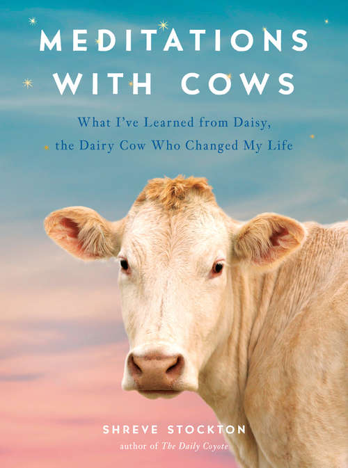 Book cover of Meditations with Cows: What I've Learned from Daisy, the Dairy Cow Who Changed My Life