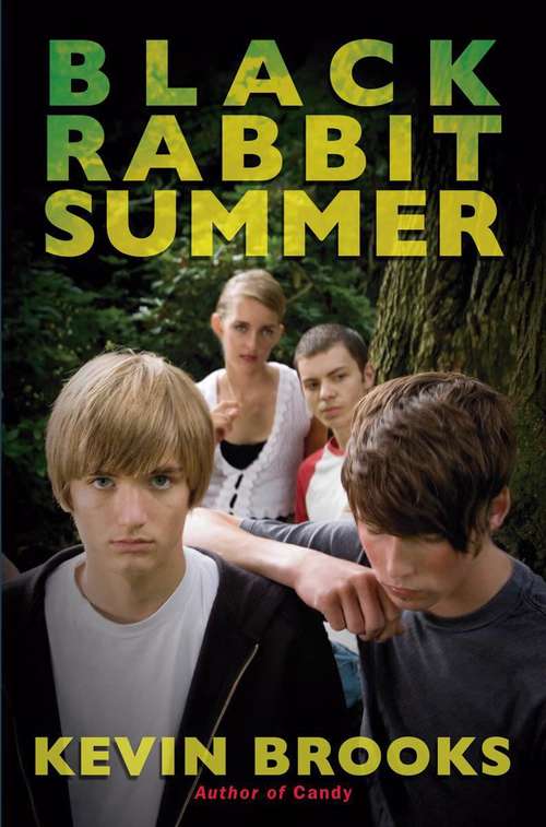 Book cover of Black Rabbit Summer