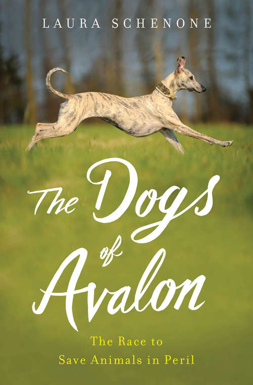Book cover of The Dogs of Avalon: The Race to Save Animals in Peril