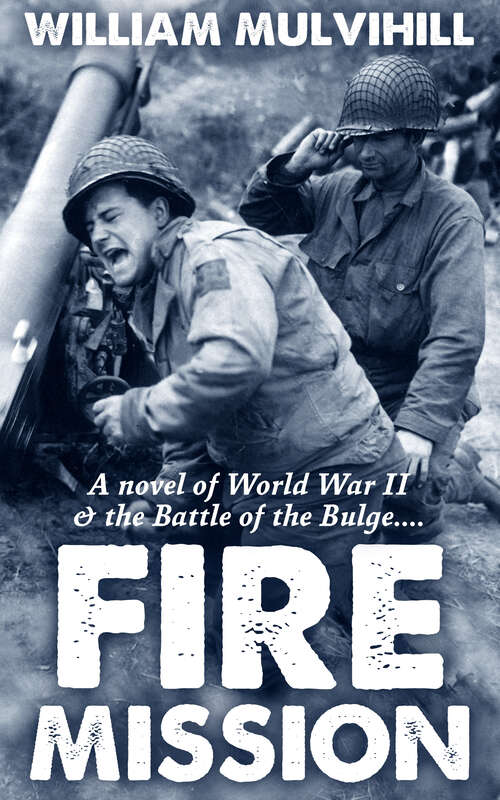 Book cover of Fire Mission