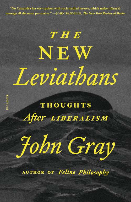 Book cover of The New Leviathans: Thoughts After Liberalism