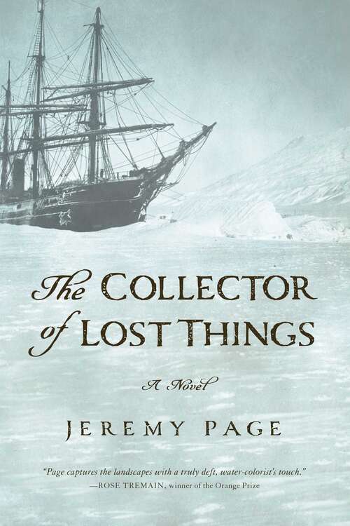 Book cover of The Collector of Lost Things