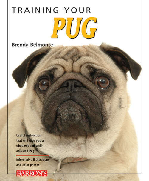 Book cover of Training Your Pug (Training Your Dog Series)