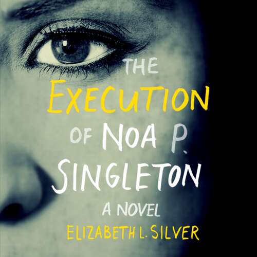 Book cover of The Execution of Noa P. Singleton