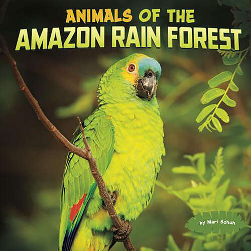 Book cover of Animals of the Amazon Rain Forest (Wild Biomes)