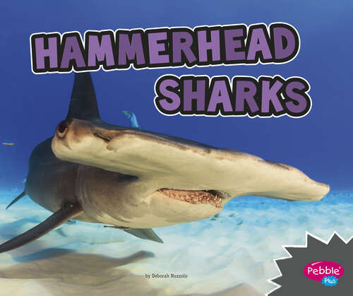 Book cover of Hammerhead Sharks (All About Sharks Ser.)