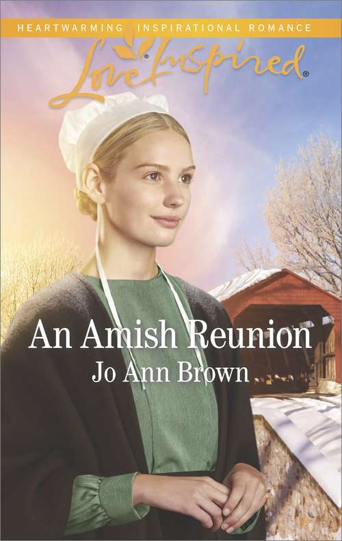Book cover of An Amish Reunion