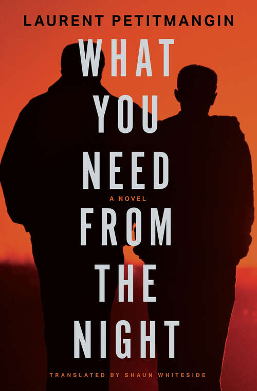 Book cover of What You Need from the Night: A Novel