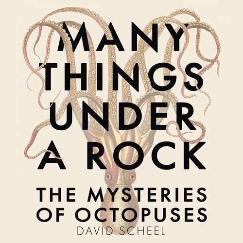 Book cover of Many Things Under a Rock: The Mysteries of Octopuses