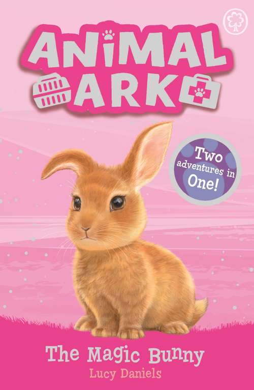 Book cover of The Magic Bunny: Special 4 (Animal Ark #4)