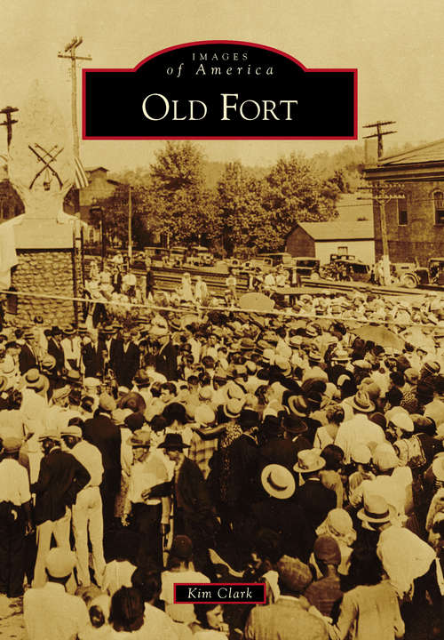 Book cover of Old Fort