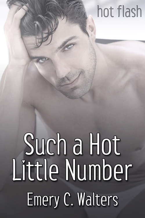 Book cover of Such a Hot Little Number