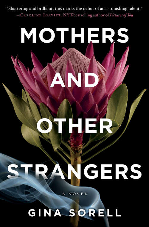 Book cover of Mothers and Other Strangers: A Novel