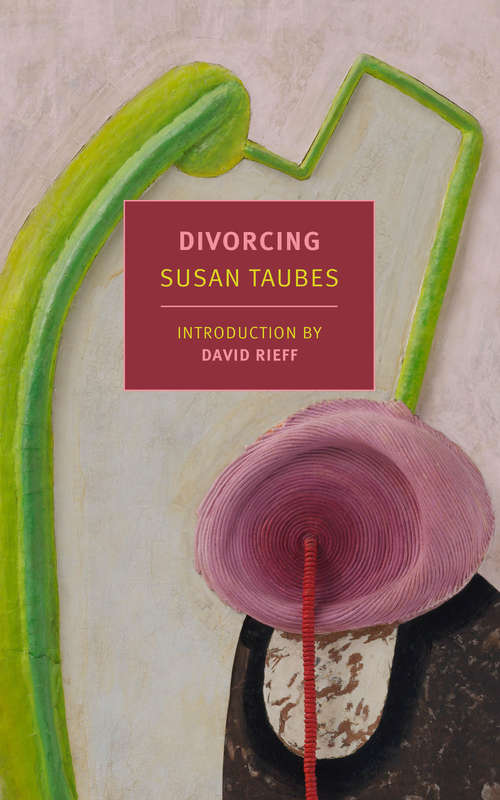 Book cover of Divorcing