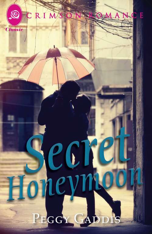 Book cover of Secret Honeymoon