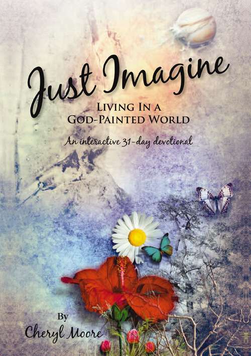 Book cover of Just Imagine: Living In A God-Painted World