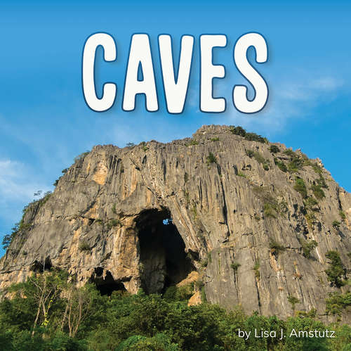 Book cover of Caves (Earth's Landforms)