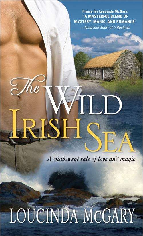 Book cover of Wild Irish Sea