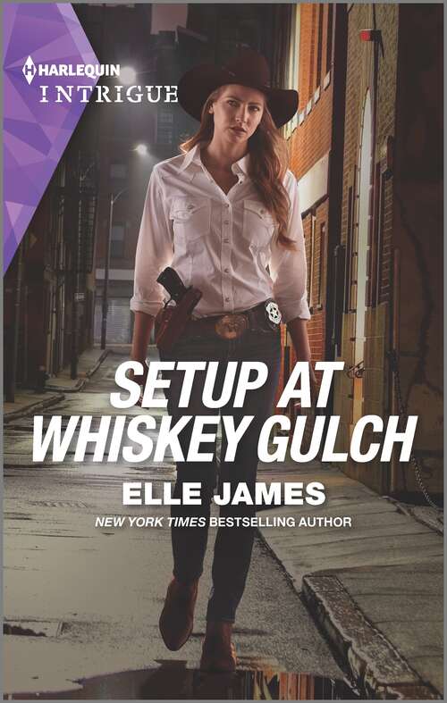 Book cover of Setup at Whiskey Gulch (Original) (The Outriders Series #4)