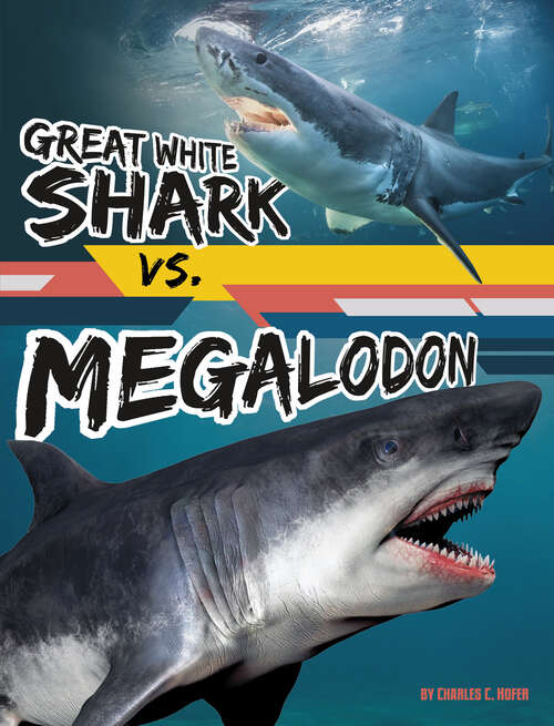 Book cover of Great White Shark vs. Megalodon (Beastly Battles Ser.)