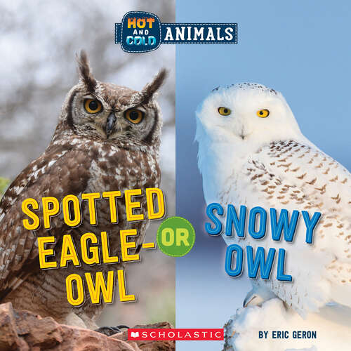 Book cover of Spotted Eagle-Owl or Snowy Owl: Wild World (Hot and Cold Animals)