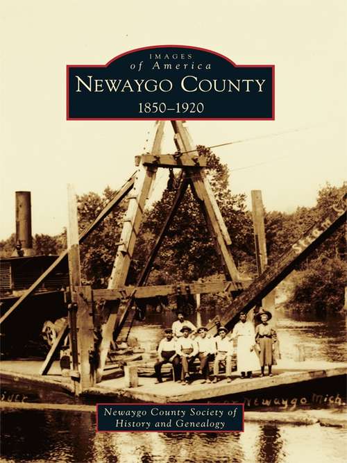 Book cover of Newaygo County: 1850-1920