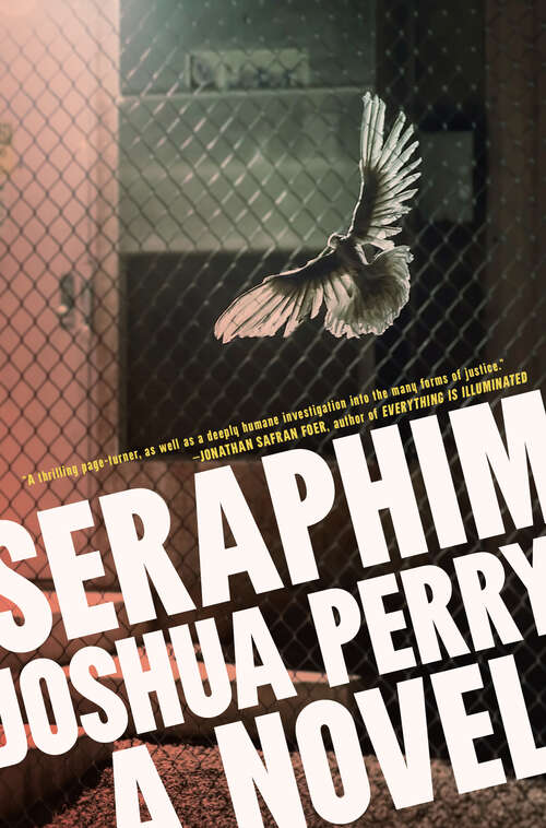 Book cover of Seraphim