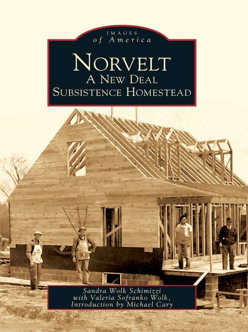 Book cover of Norvelt: A New Deal Subsistence Homestead