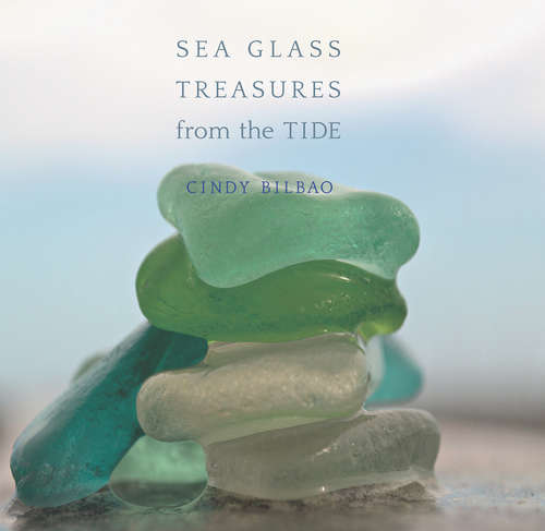 Book cover of Sea Glass Treasures from the Tide