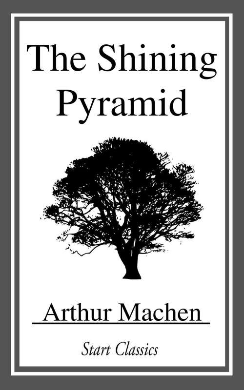 Book cover of The Shining Pyramid