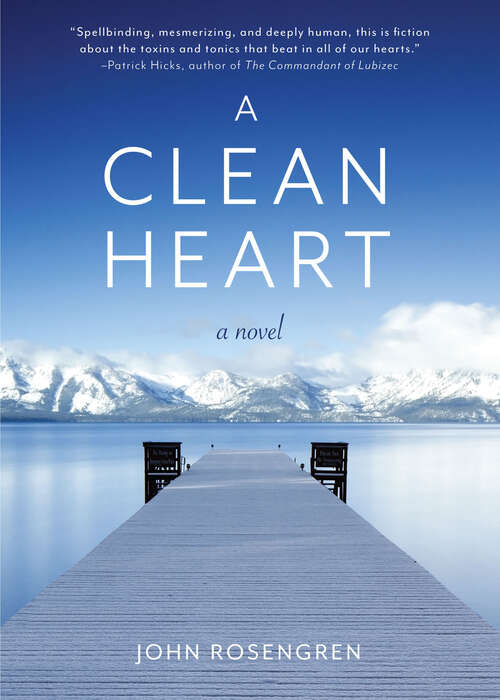 Book cover of A Clean Heart: A Novel