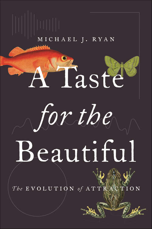 Book cover of A Taste for the Beautiful: The Evolution of Attraction