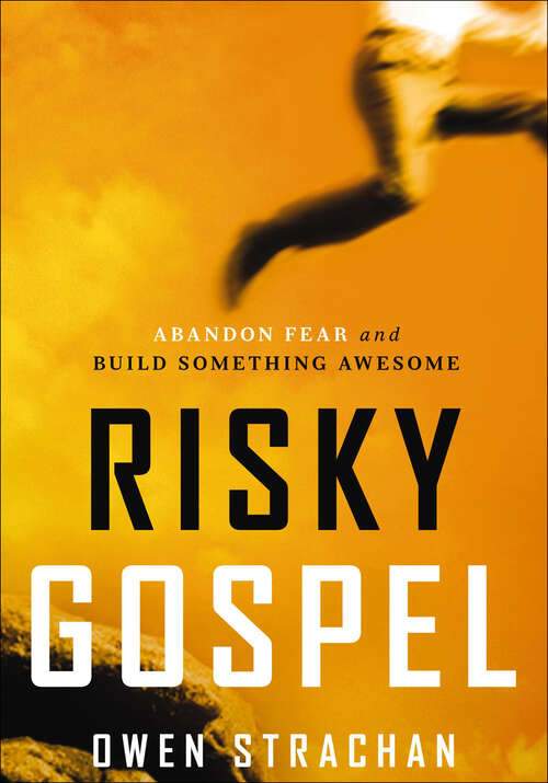 Book cover of Risky Gospel: Abandon Fear and Build Something Awesome