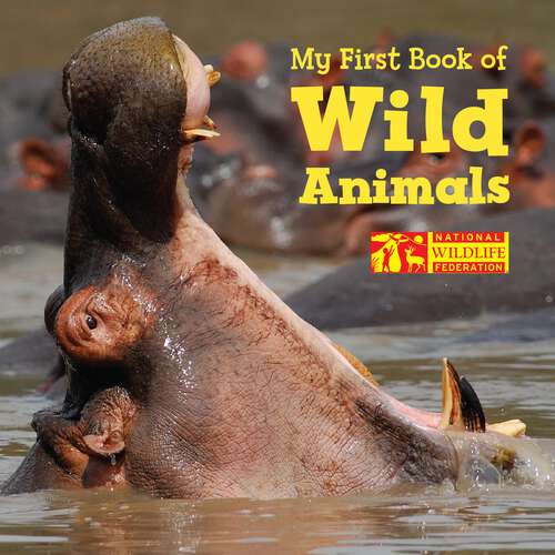 Book cover of My First Book of Wild Animals (National Wildlife Federation)