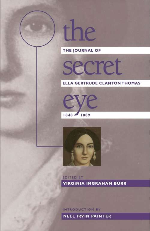 Book cover of The Secret Eye