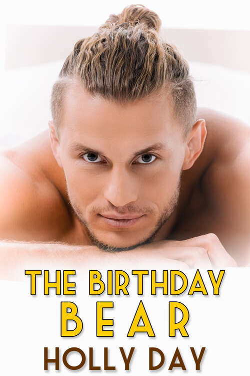 Book cover of The Birthday Bear