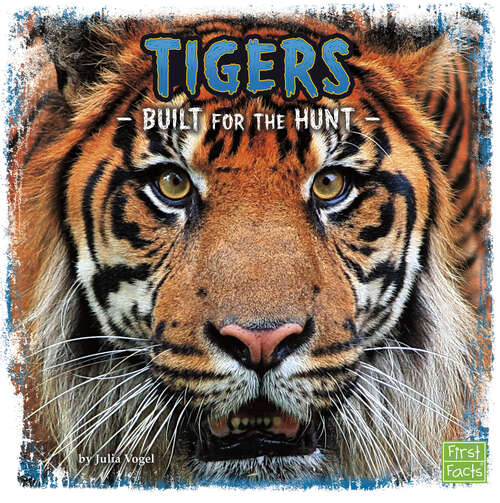 Book cover of Tigers: Built For The Hunt (Predator Profiles Ser.)