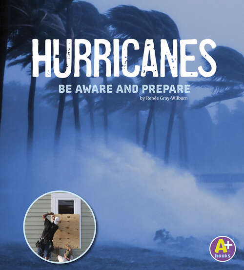 Book cover of Hurricanes