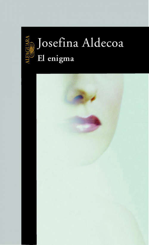 Book cover of El enigma