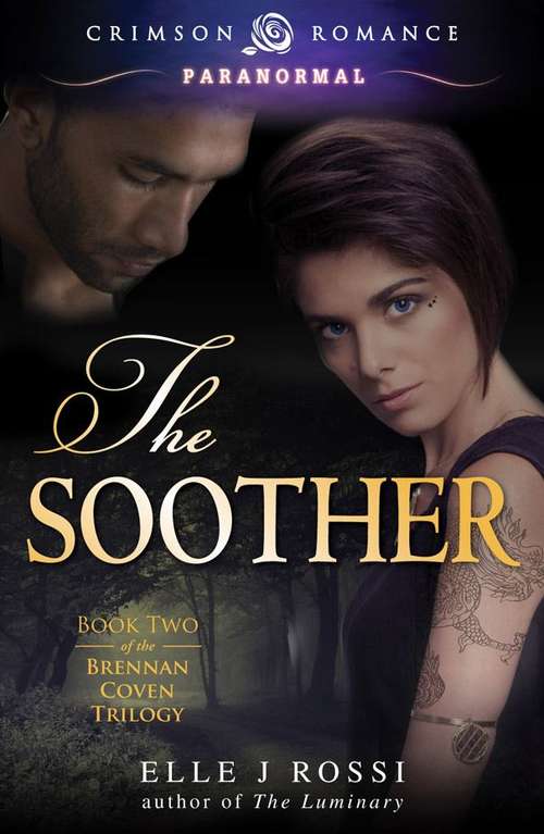 Book cover of The Soother