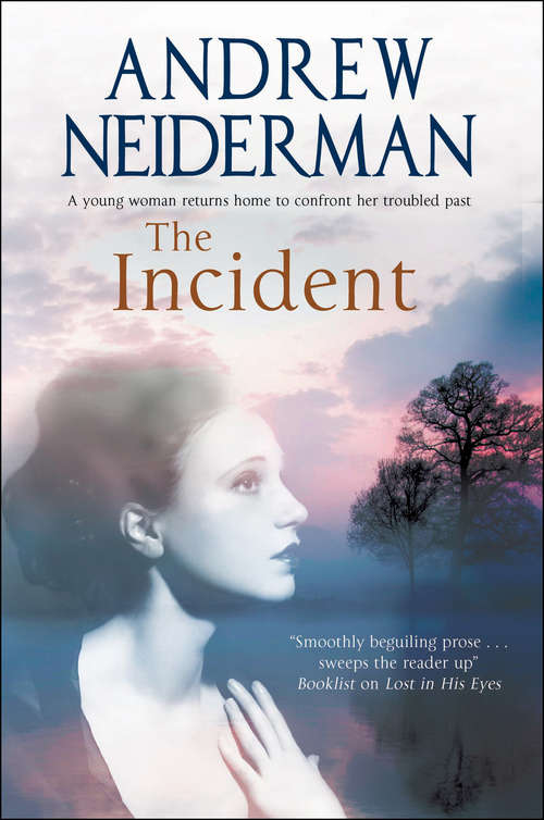 Book cover of The Incident