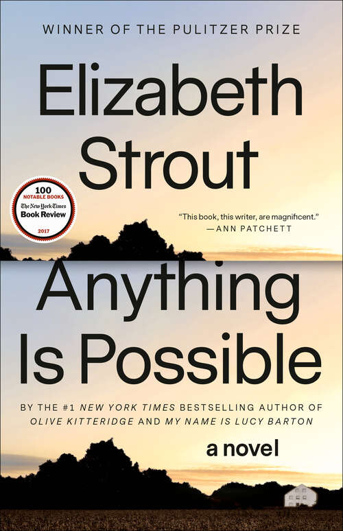 Book cover of Anything Is Possible: A Novel