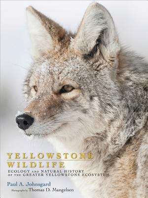 Book cover of Yellowstone Wildlife