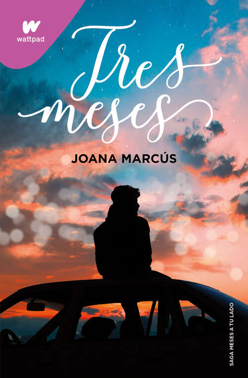 Book cover of Tres meses (Meses a tu lado: Volumen 3)